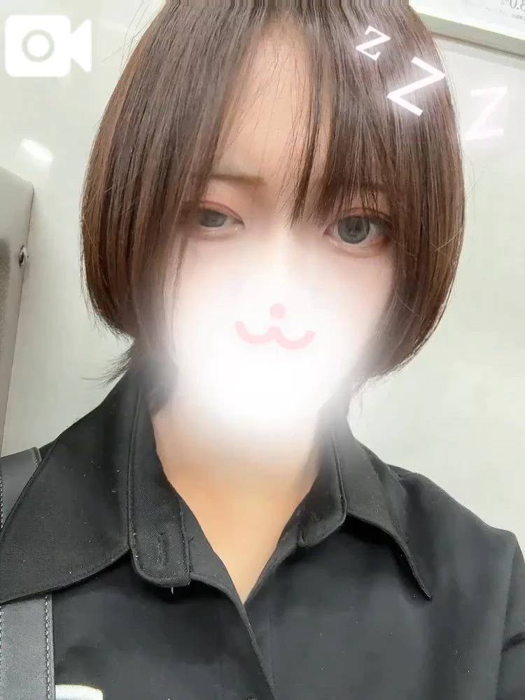 しゅっきん🦖🐾