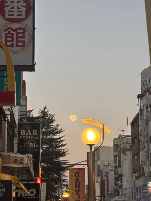 夜明けだから見れる