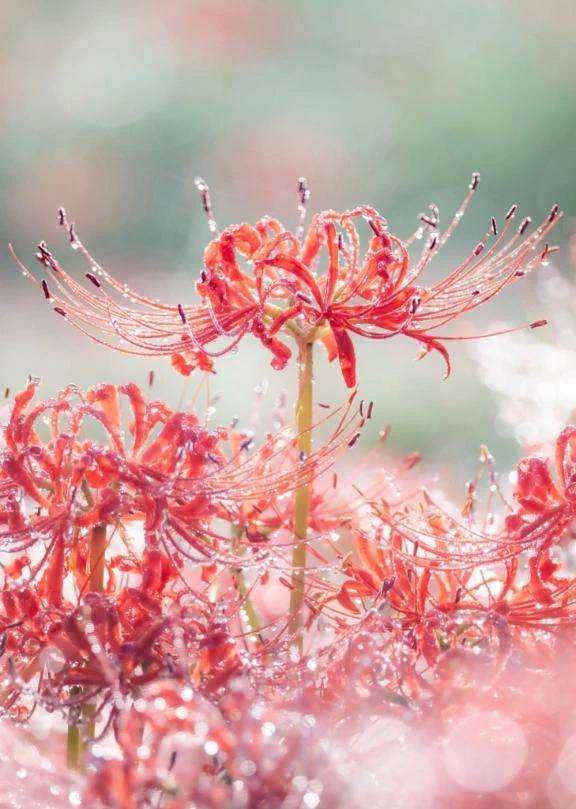 お久しぶりです…