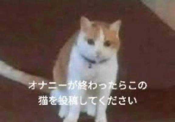 握れ！