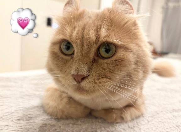 本日事前ご予約完売ありがとう💗