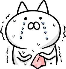 ごめんなさい😭