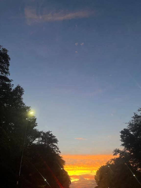 タイムマシンで過去に戻れるなら何する？⏰