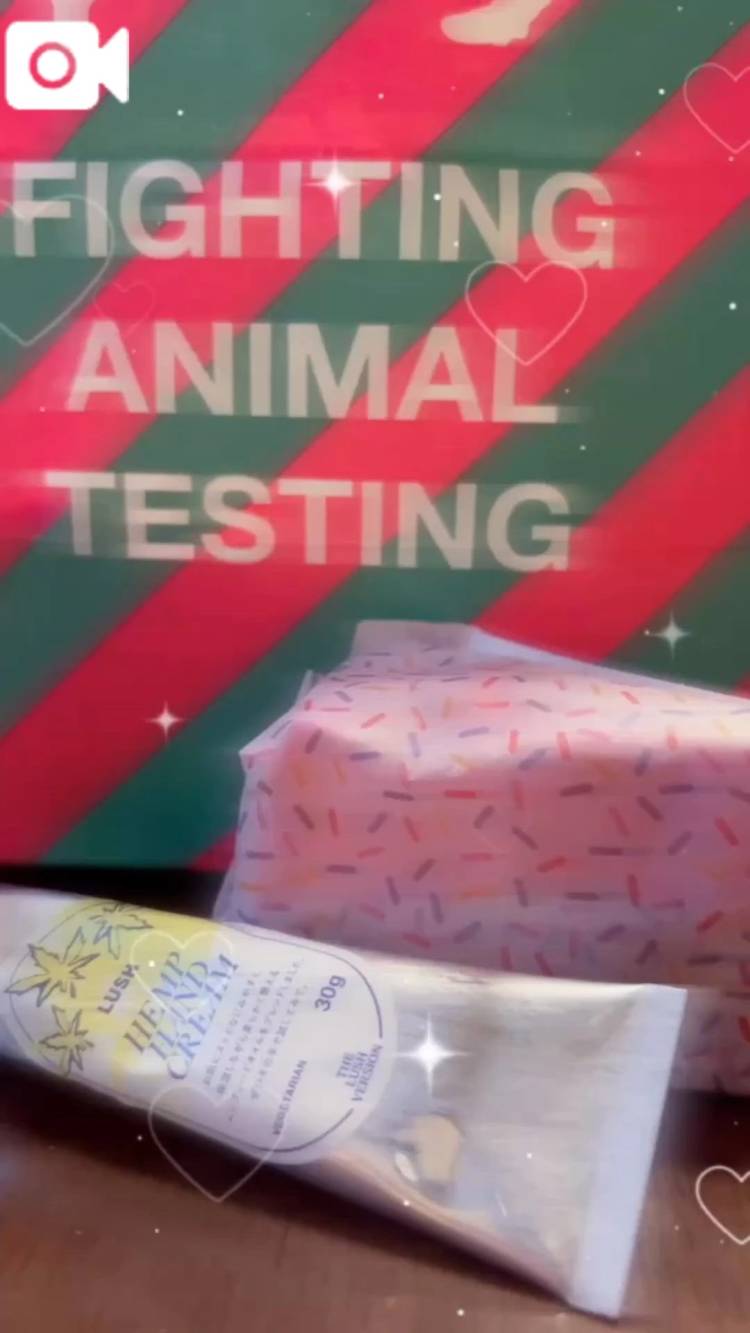 明日11時から🌷