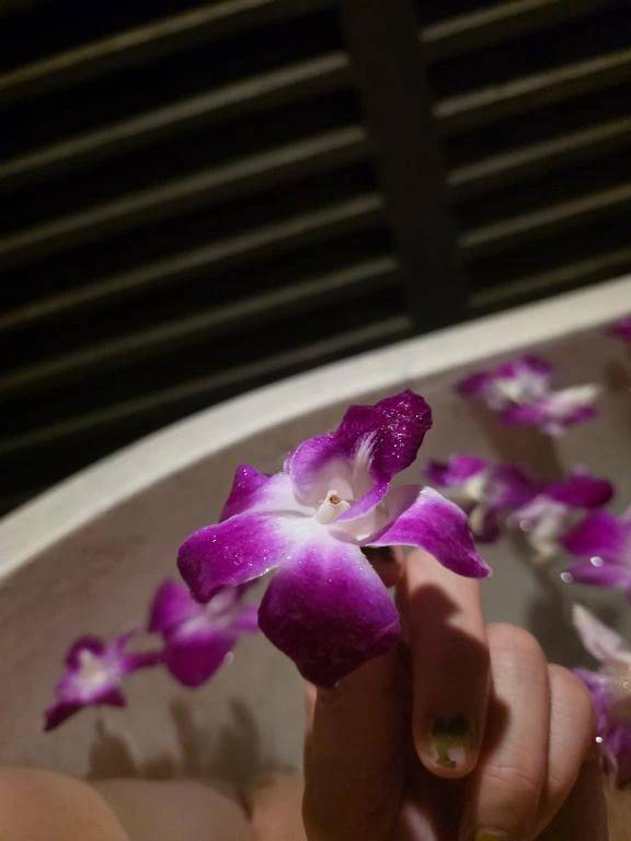 おはよう👋😆✨☀️