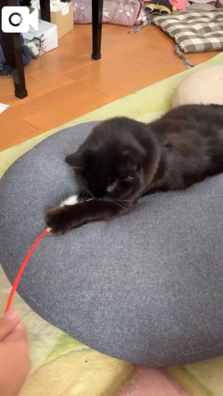 日付変わった本日もお待ちしてます🌟