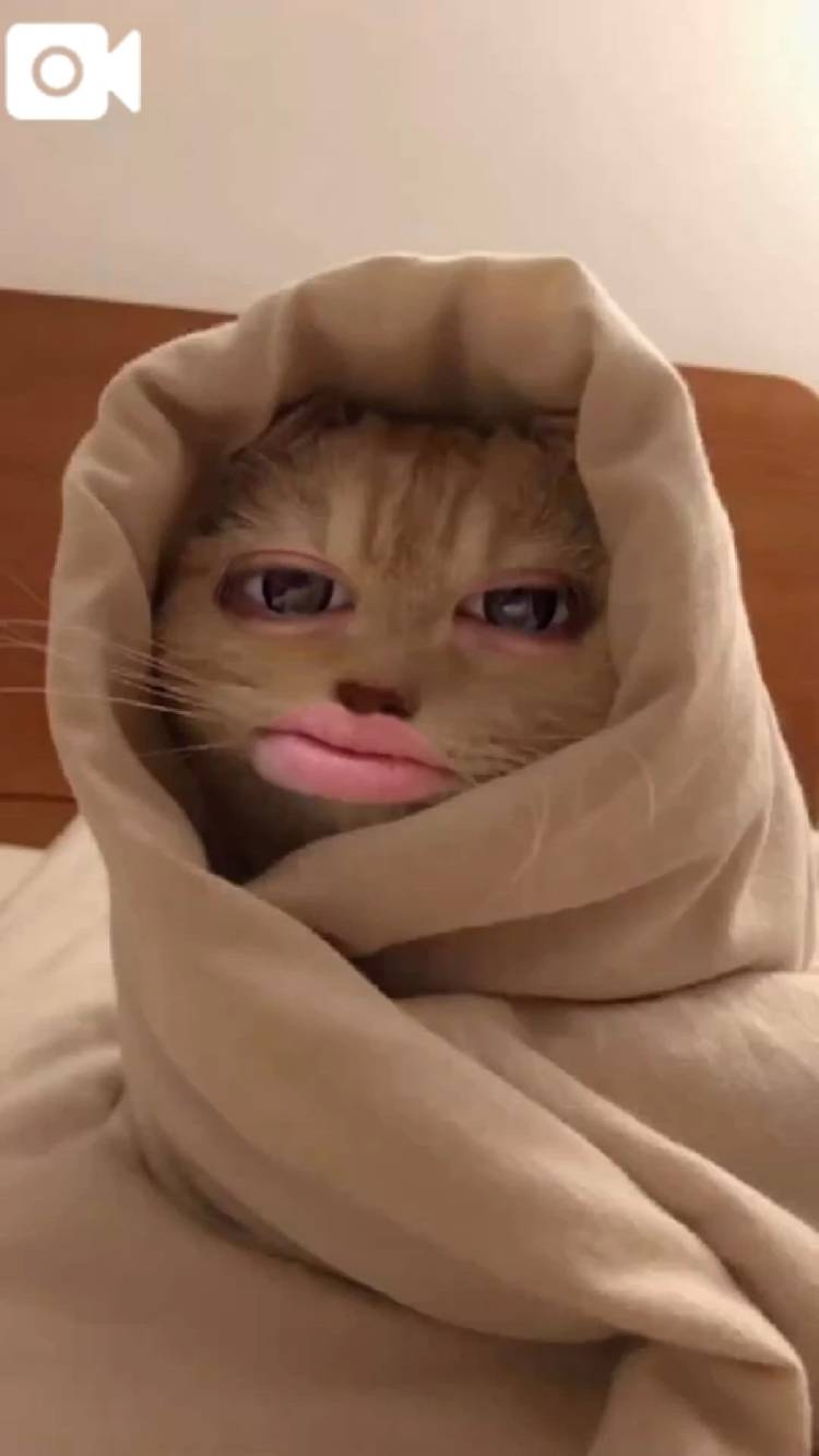 早退します‪(  . .)"‬