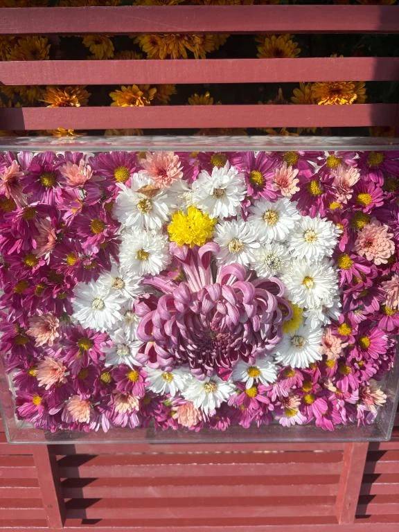 「💖明日からまた会えるの楽しみにしてます💖🐥」