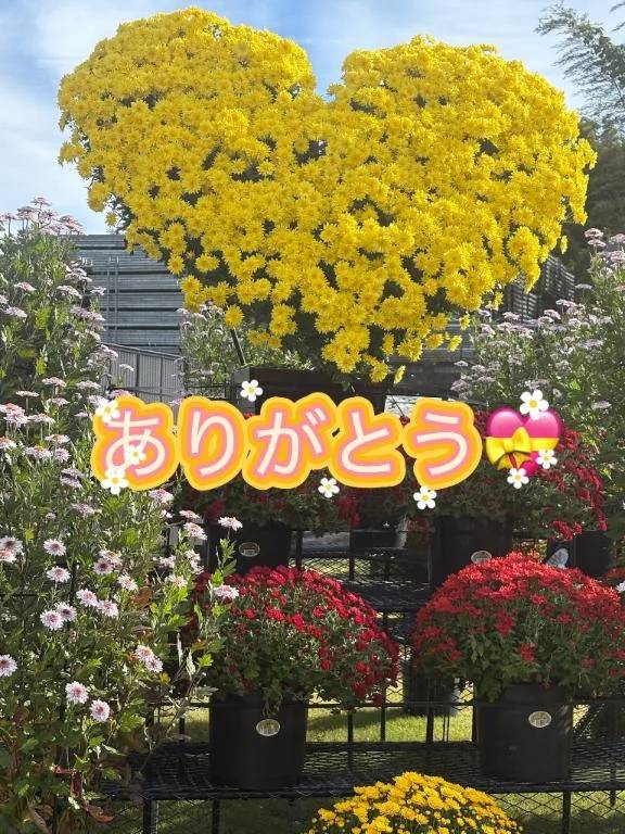 「💕今日もありがとう💕🍒」