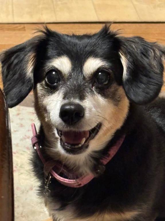 23時半まで！！！！！