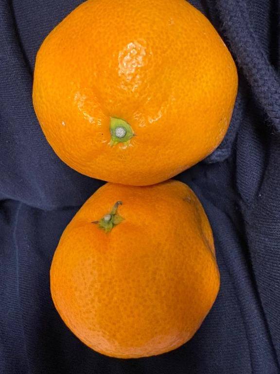 お元気ですか💓