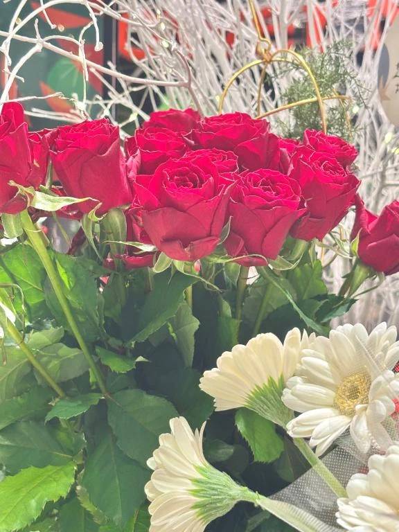 ごめんなさい💦