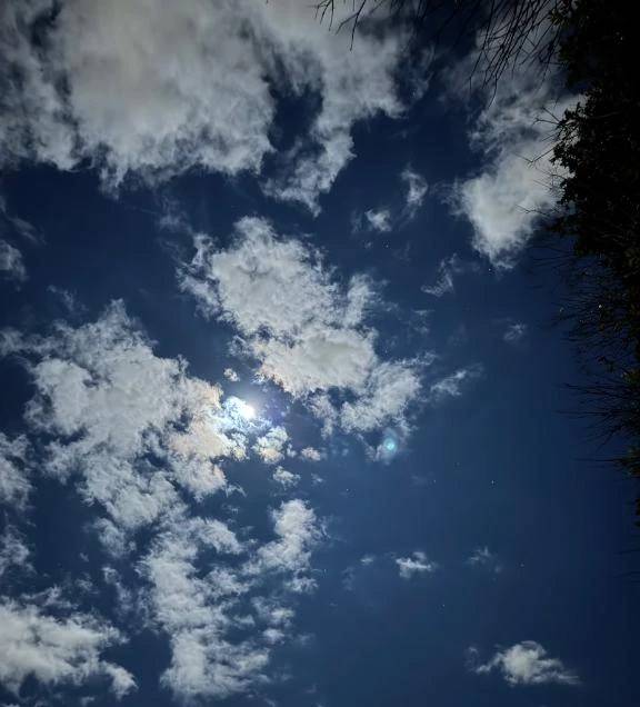 おやすみなさい