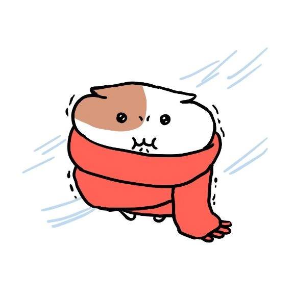 本指名　Nさん♡