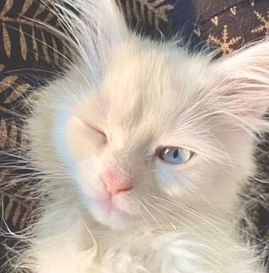 ⚠️急遽時間変更⚠️