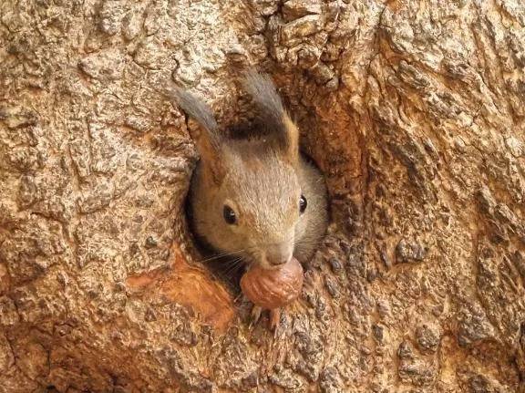 本日🈳出ました〜！