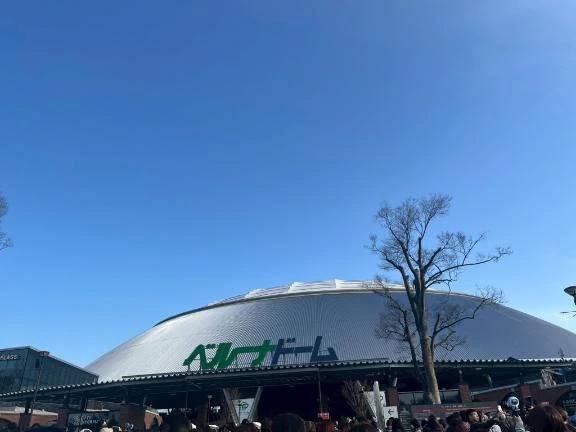 負けたみたい🌷