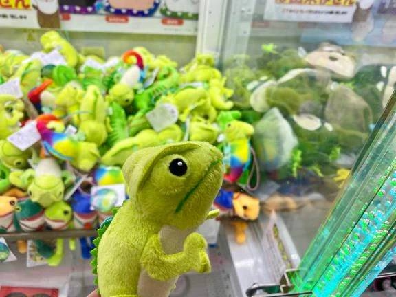 見て〜！！
