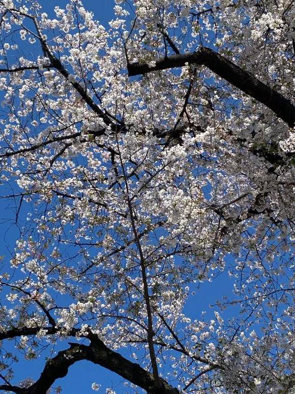 4月3日☀️