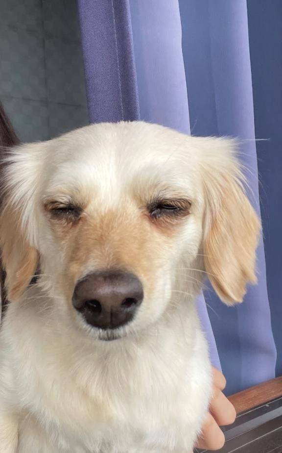りらです🤍