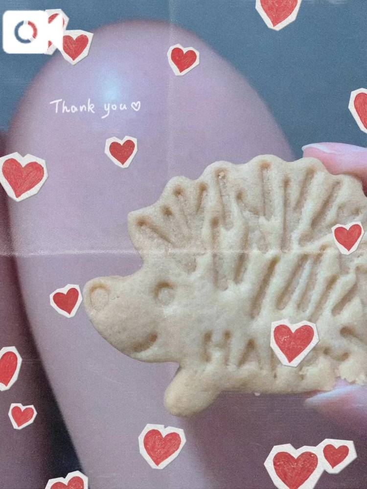 ハリネズミってかわいいよね