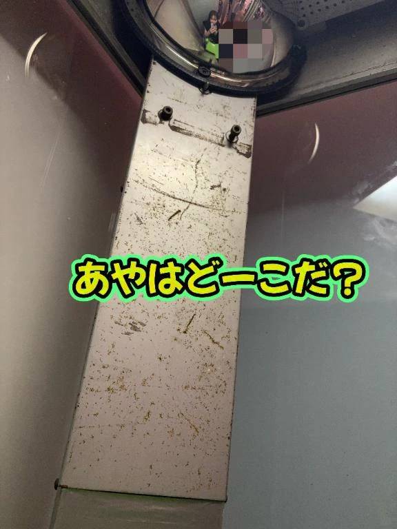 「ちゃんと起きてる人だけ見てね」
