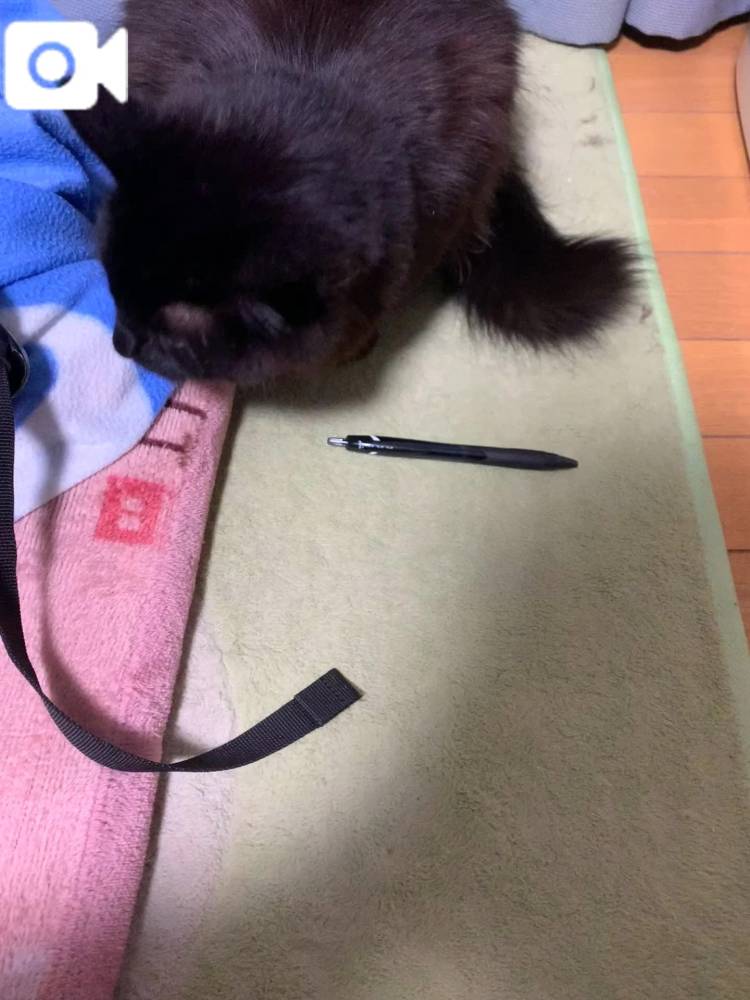 【お礼写メ日記】ありがとう😊❣️