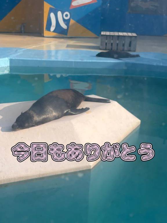 「💗感謝💗😭」