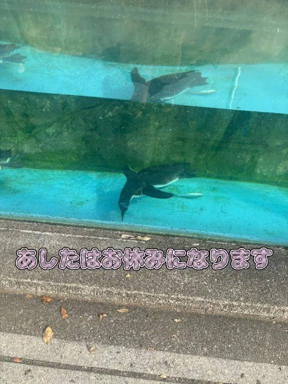「💞身の安全大事です💞🐥」