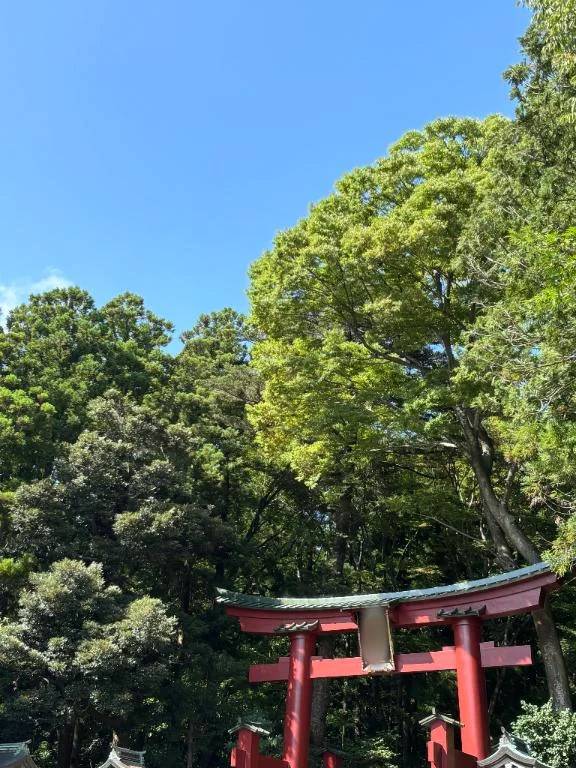 帰ってきたよ✌🏻