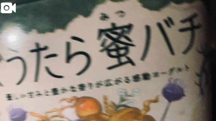 今日はこれで決まり🔎