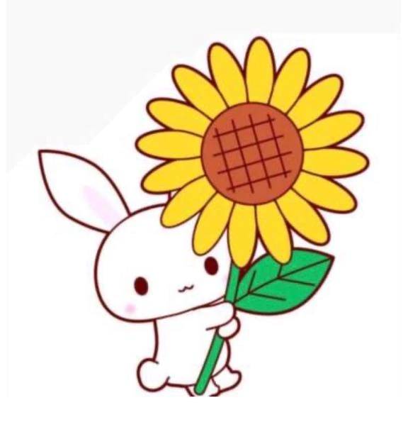 🌻🩵