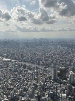 今日は…