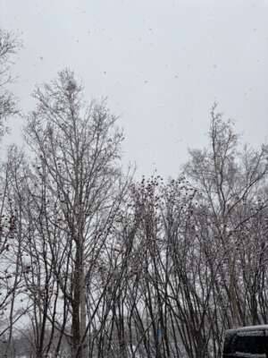 今日は寒いよ〜❄️