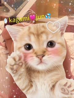 にゃー🐈