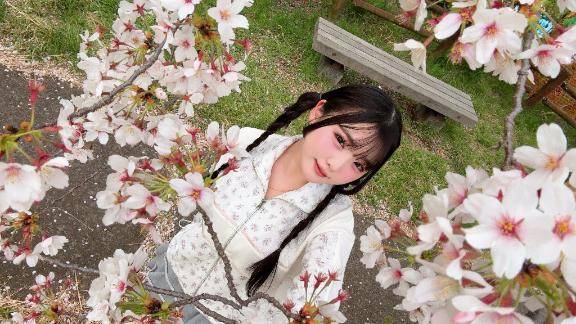 🌸春とさくらと、つむぎ🌸