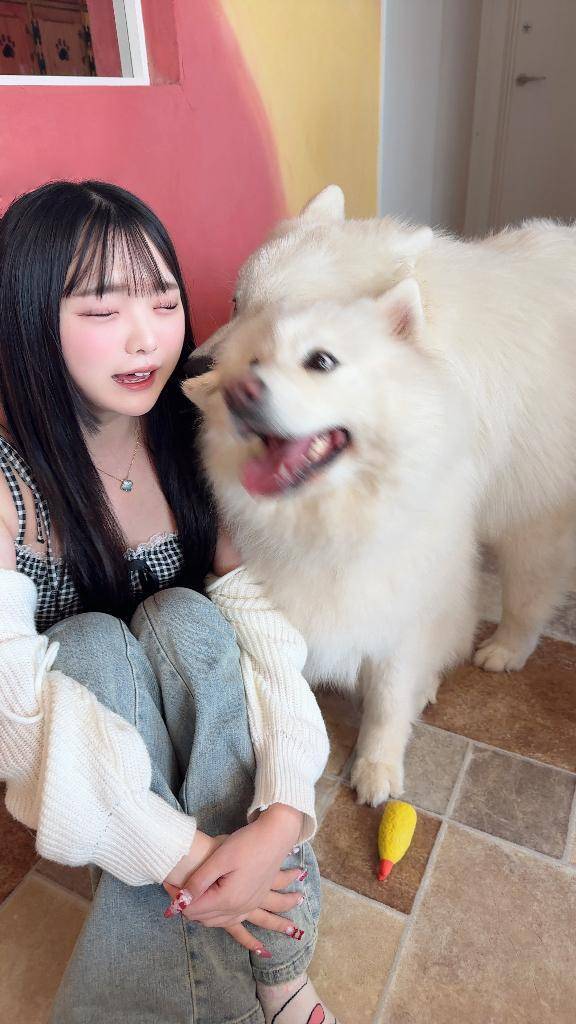 🐶た、たいへーん!🐶