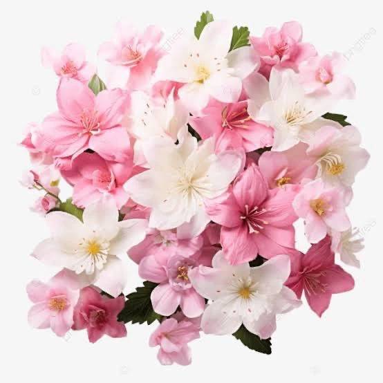 おはようございます☀️