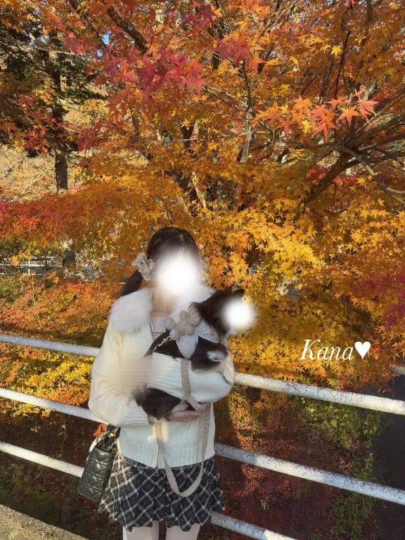 💟12月の予定🎄