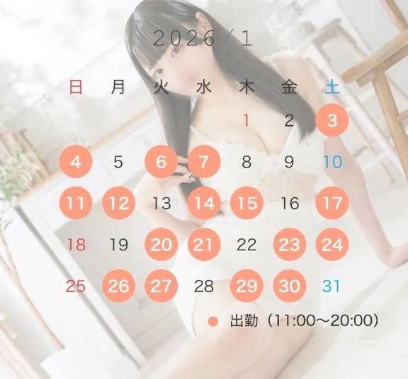 1月のスケジュール💭