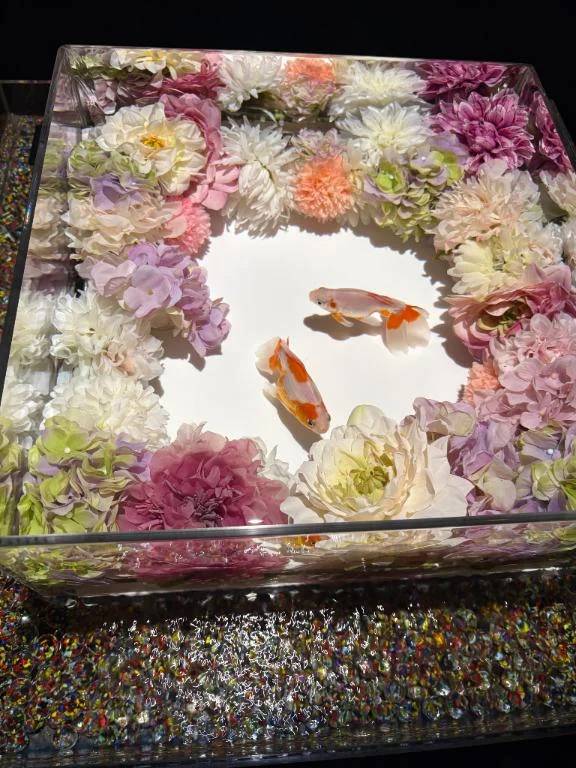 癒されたいお兄様へ♡