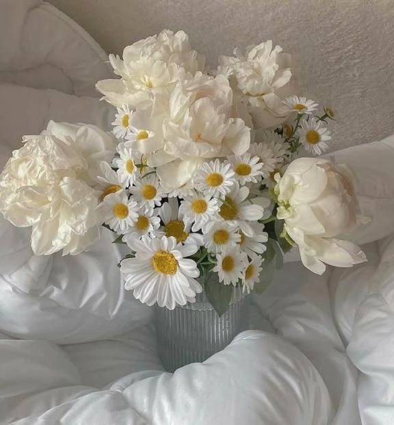 お知らせ♡姫予約LINE変更♡