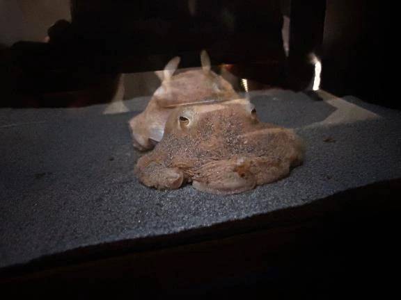 🈵枠ありがとうございました🙏