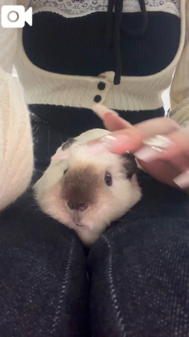 💓癒し癒される💓