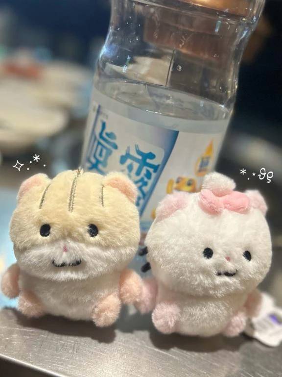 🐹‎🎀