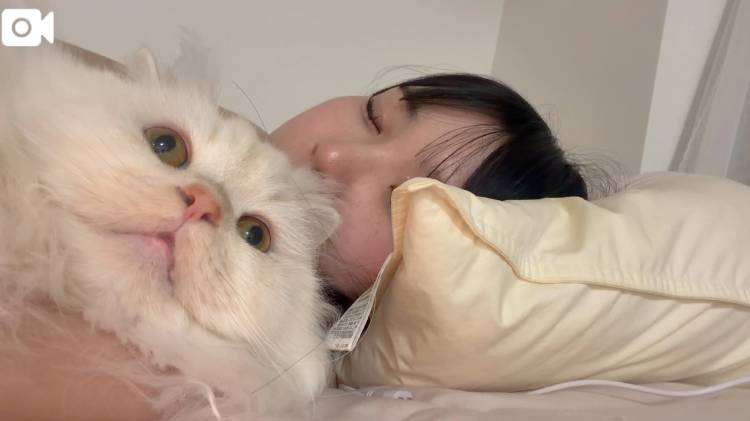 🐱にゃんにゃんは癒しなの🐱