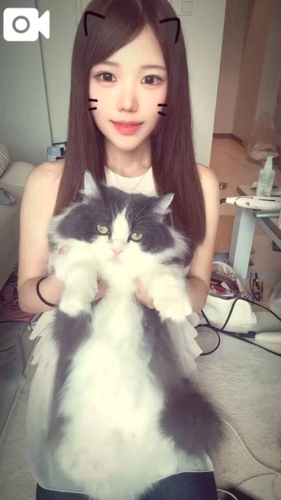 猫ちゃんとばいばいでかなぴぃ
