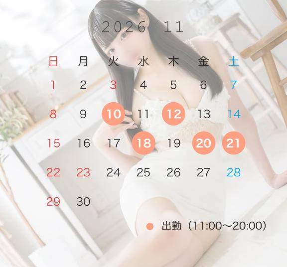11月のスケジュール🩶