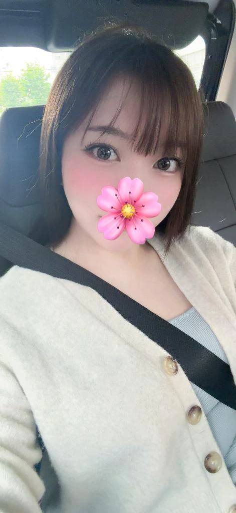 🌸さくらからのお願いだよ🫶✨