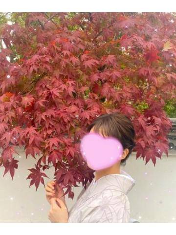 実りの秋🍁